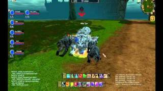 Silkroad _IceLord killed Tiger Girl Nr.21