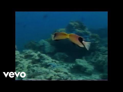 Ghostnaps - LOST FROM THE START (Official Music Video)