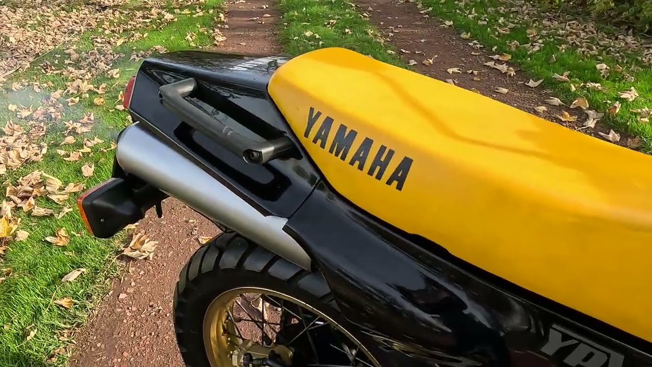 Yamaha TDR250 Cold Start