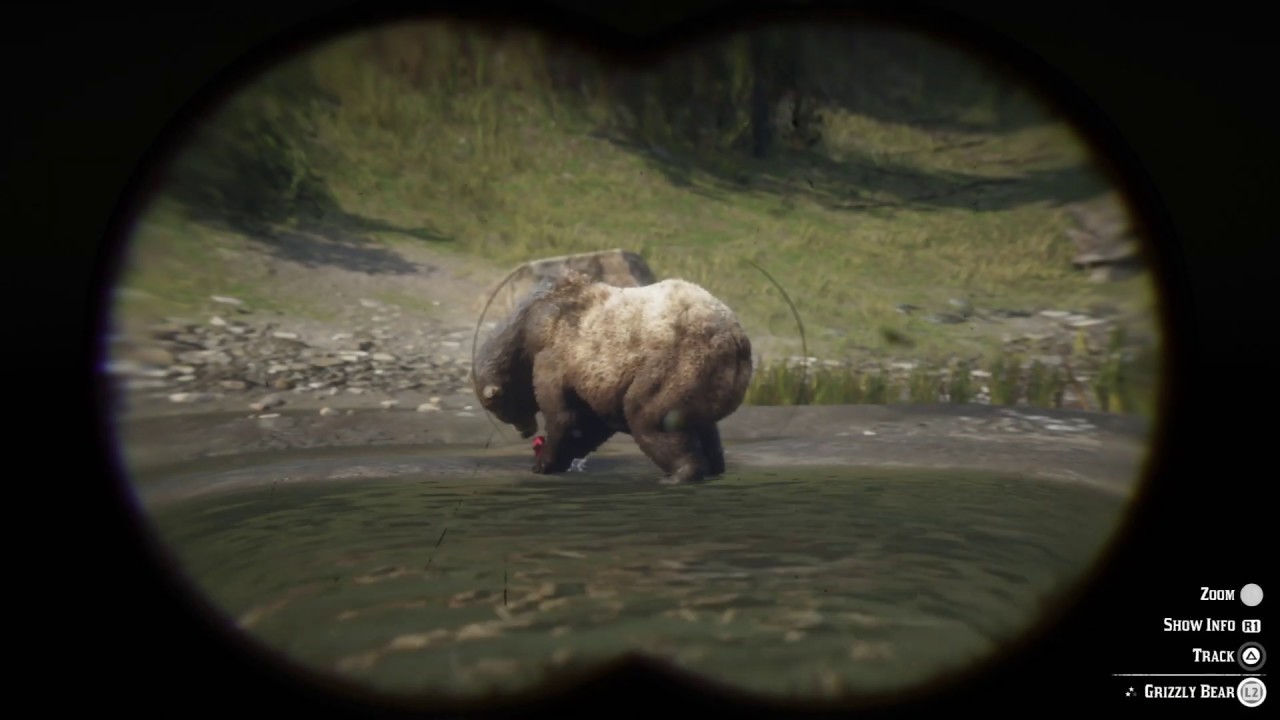 Red Dead Redemption 2 - Grizzly Bear Eating Salmon - YouTube