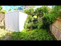 Overgrown yard gets surprise makeover for young couple