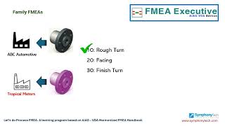 Process FMEA (AIAG-VDA Edition) - Family FMEAs
