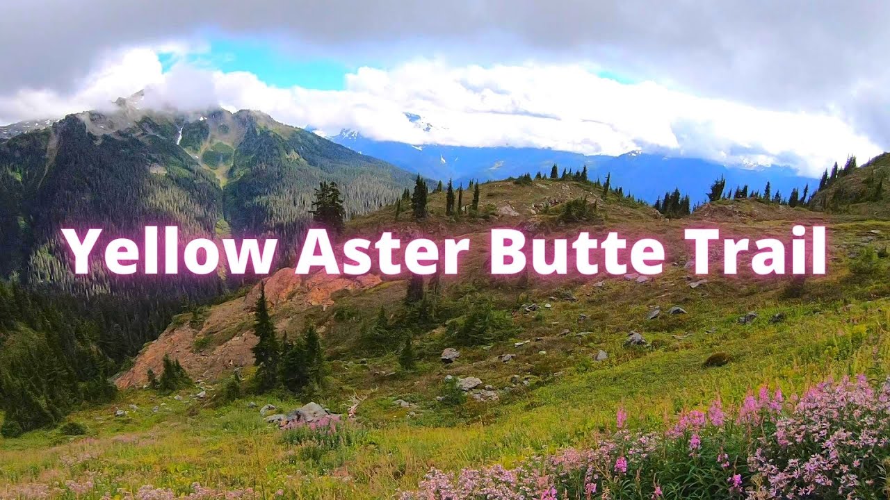 Yellow Aster Butte Trail 4K   MT Baker Wilderness