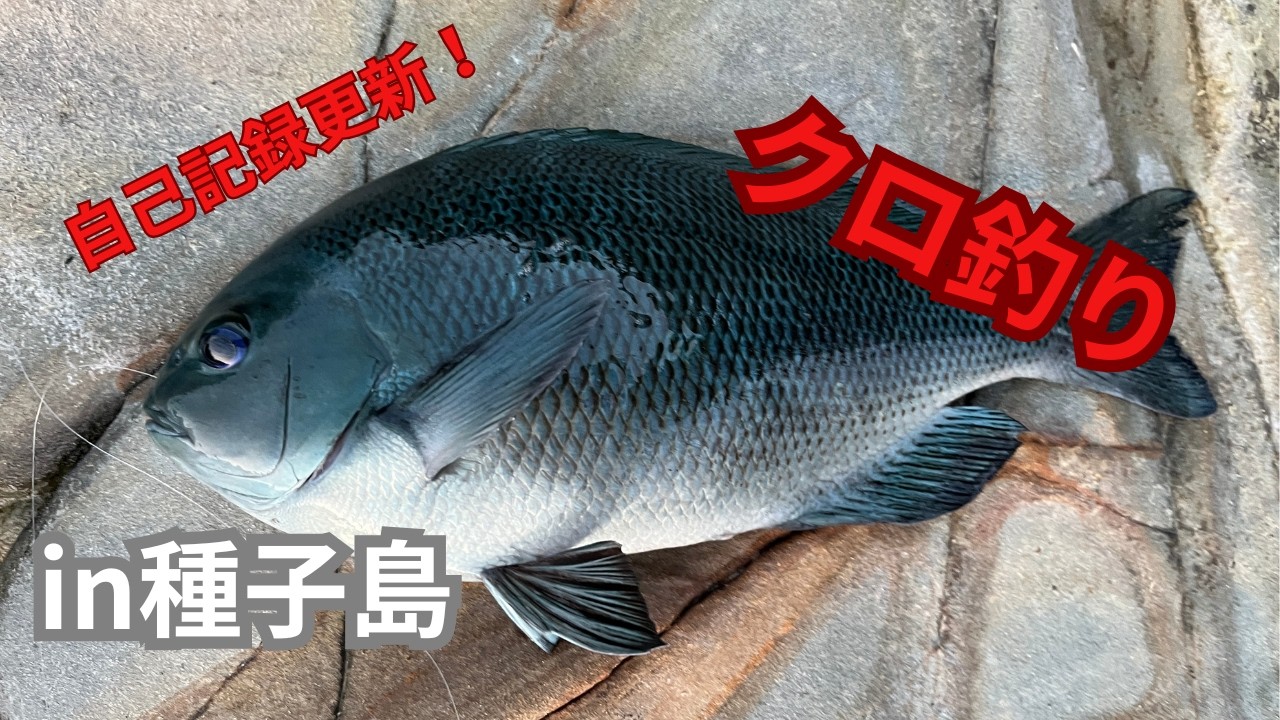 2026/3/7魚釣りin種子島