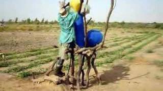 Family drip system Senegal