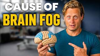 The Cause of Brain Fog