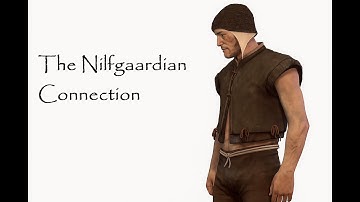 The Witcher 3 The Nilfgaardian Connection | Hendrik’s Fate in Heatherton