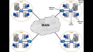 الدرس الأول:  أنواع الشبكات TYPES OF NETWORK