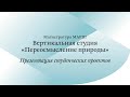 Открытая презентация проектов / МА. Переосмысление природы / Часть 1