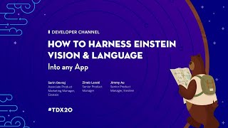 How to Harness Einstein Vision and Language in Any App