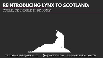 Reintroducing the lynx to Scotland - Can we reintroduce lynx to Scotland?