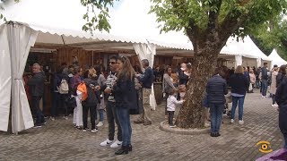 Noticia de Lugo: XXVI Feira do Viño de Pantón