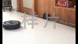 X500 sample video .wmv