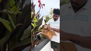 Messy Terrace Garden to Neat Setup 😍🌿 | Budget-Friendly Plant Stand Hack