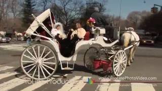 Wedding Video highlights at Belvedere Castle, Central Park, Manhattan NY (Marie and Adrien)