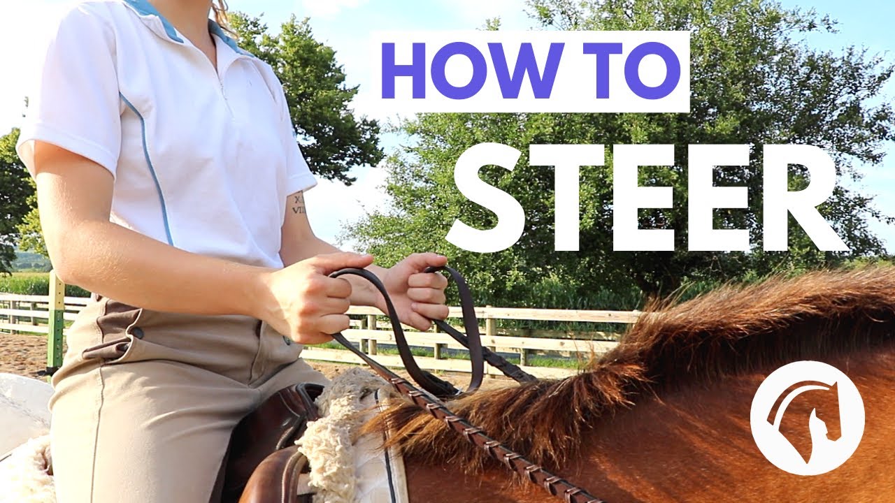 How To Steer A Horse (Step-By-Step Guide)