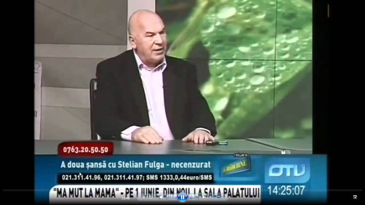 stelian fulga nr tel)