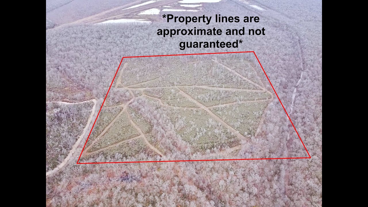 40 Acres - Mildred Rd, Monroe, LA