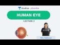 L3: Human Eye | Human Neural System (Pre-medical-NEET/AIIMS) | Ritu Rattewal