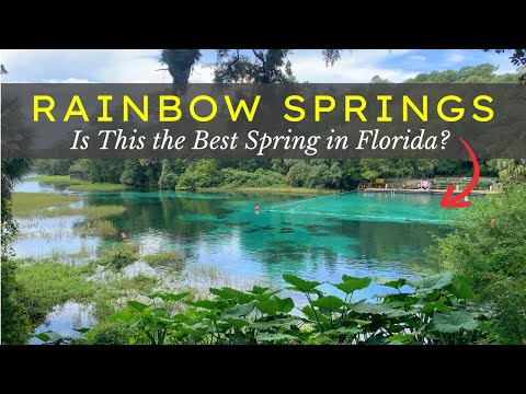 Is Rainbow Springs Worth Visiting? | The Truth About Florida's Most Popular Spring