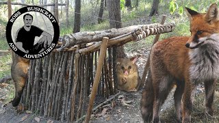 Primitive Cage Trap - For trapping foxes and other animals Profile