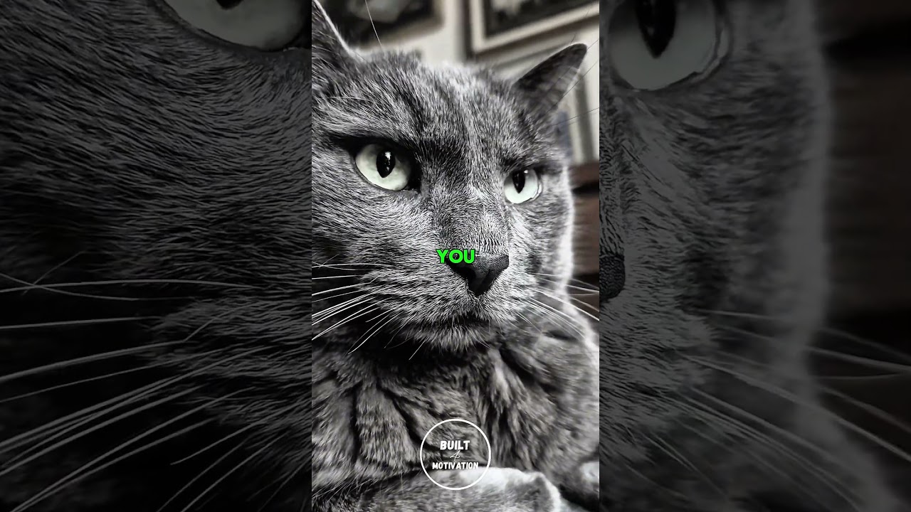 You have time. Stop lying. 