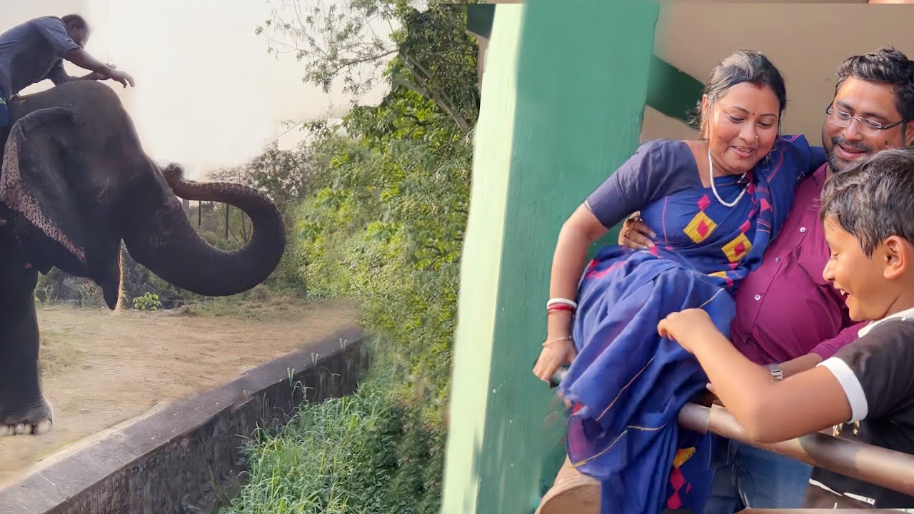 উদয়গিরি,ধবলগিরি,নন্দন কানন লিঙ্গরাজ মন্দির সারাদিন ধরে পুরী ভ্রমণ করলাম||Puri tour ||Bengali vlog