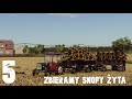 Powrót na gospodarstwo #5 - Zbieramy snopki z pola po zbiorze snopowiązałką.