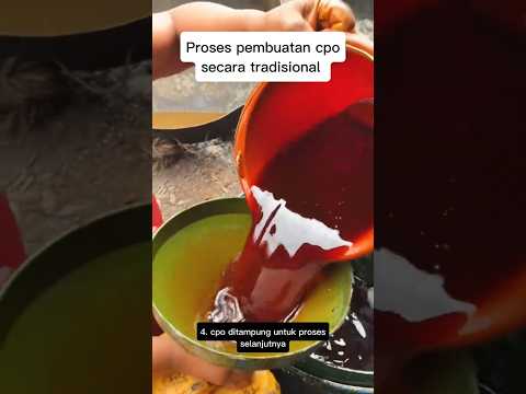 Proses pembuatan cpo secara tradisional #cpo #pabrikkelapasawit #crudepalmoil