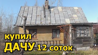 КУПИЛ ДАЧУ 12 СОТОК! Обзор участка