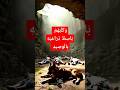 لماذا لم يتعفن جسم الكلب برغم انه لم يتقلب وهو نائم قصة اسلام البروفسير الألماني حكايات مسلم لماذا لم يتعفن جسم الكلب برغم انه لم يتقلب وهو نائم قصة اسلام البروفسير الألماني حكايات مسلم