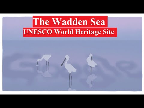 Wattenmeer | Google Doodle ehrt das Wattenmeer, ein UNESCO-Weltkulturerbe