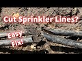 How to fix a cut sprinkler line.