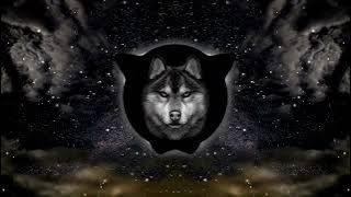 Crypto - Faded (feat. Constance)