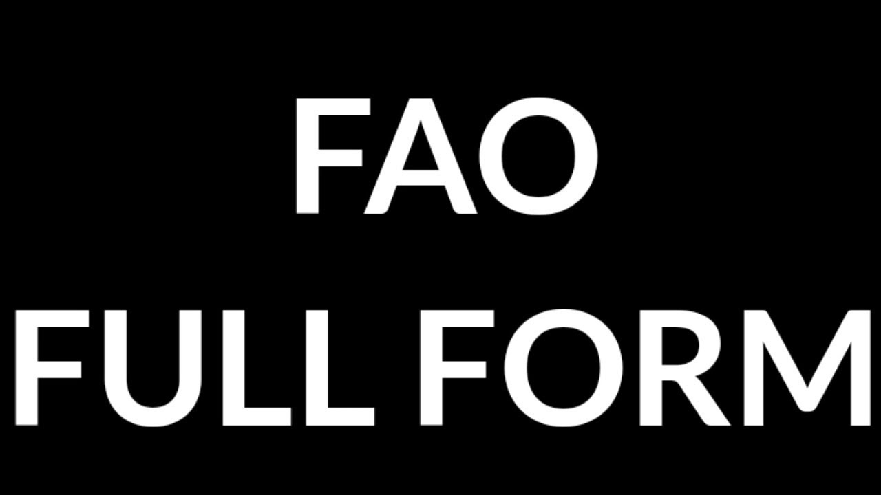 FAO Full Form FAO Full Form FAO Meaning YouTube FAO Full Form FAO Full Form FAO Meaning YouTube