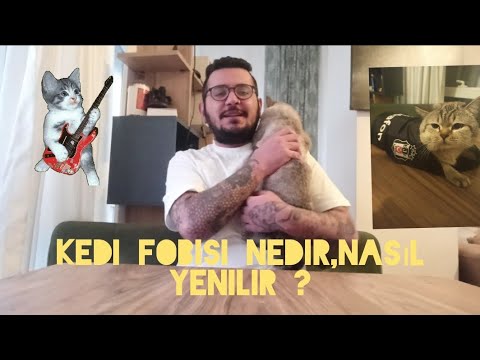 Kedi Fobisi Nasil Yenilir Kedi Fobisine Dair Konuk Tyler Youtube