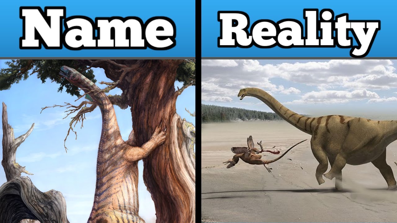 Top 5 Inaccurate Dinosaur Names (Part 2) YouTube