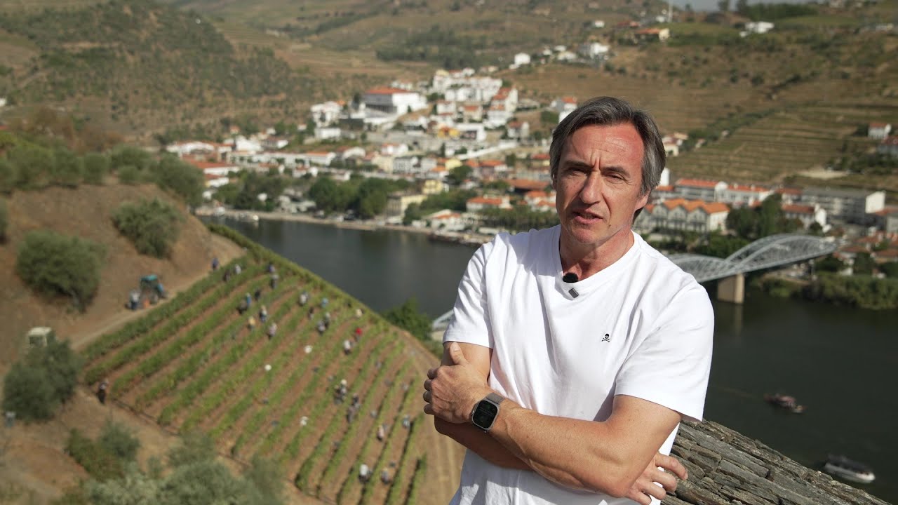 Relatório de Vindima 2025 - Real Companhia Velha