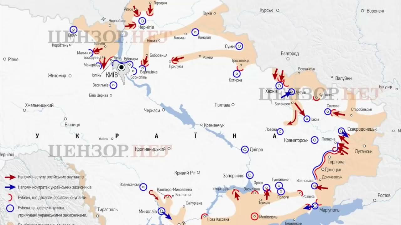 Новости с фронтов телеграмм фото 16