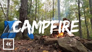 Relaxing in the Forest by the Campfire  Bird Song  Relaxing Forest Sounds  4K