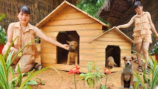 19 year old single girl builds a new life - building a bamboo dog cage - a rural life