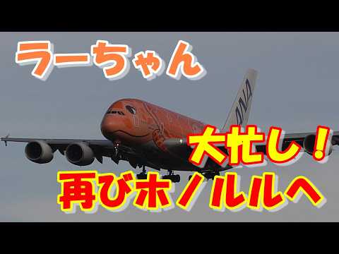 Love Flight Jack - YouTube