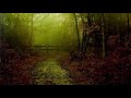 2 hours rain  flute of north americans native american flute most amazing relaxing music 