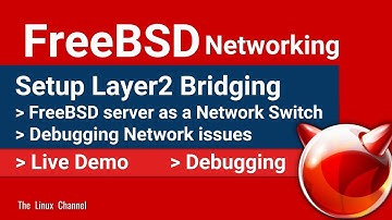 0x8 FreeBSD Networking | Setup Layer2 Bridging | FreeBSD Server as a Networking Switch | Debugging