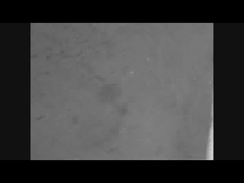 News Item Ef5412f8 47a3 75c9 2f81 1158626ba37a 