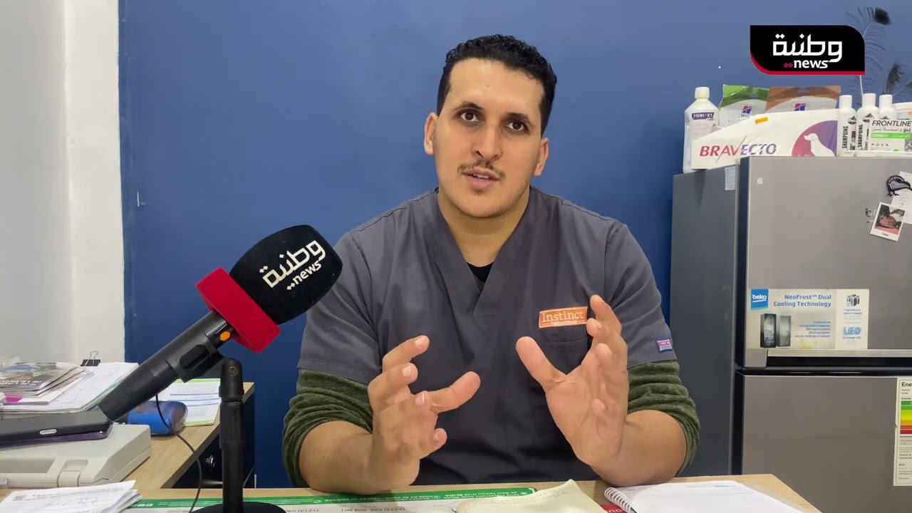 🔴 البليدة | لحماية أضحيتك .. إرشادات بيطرية مهمة للمواطنين حول الكباش المستوردة