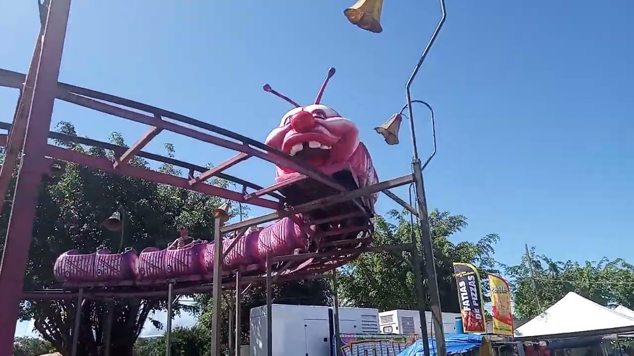 30 de dezembro de 2024