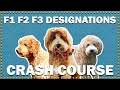 What Does F1, F2, F3, F1b & F2b Generations Mean? | CKC's Talkin' Dogs List Show