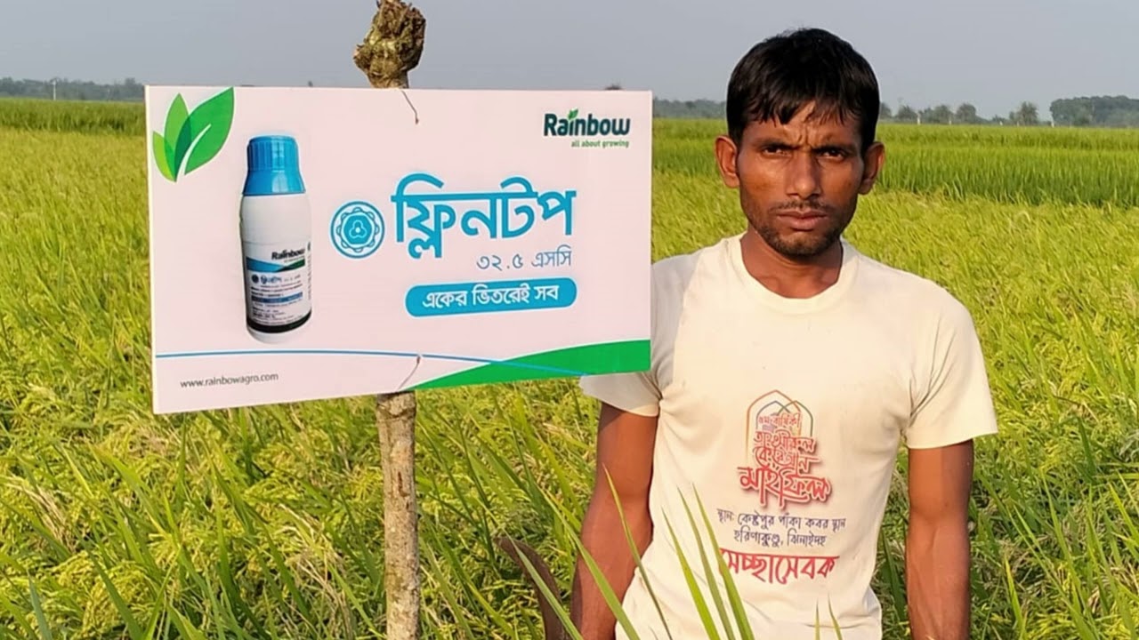 Rainbow Flintop 32.5SC