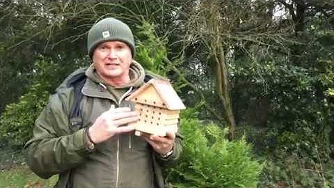 Our new Interactive Solitary Bee Hive